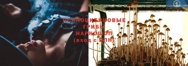 меф Арсеньев