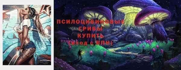 меф Арсеньев